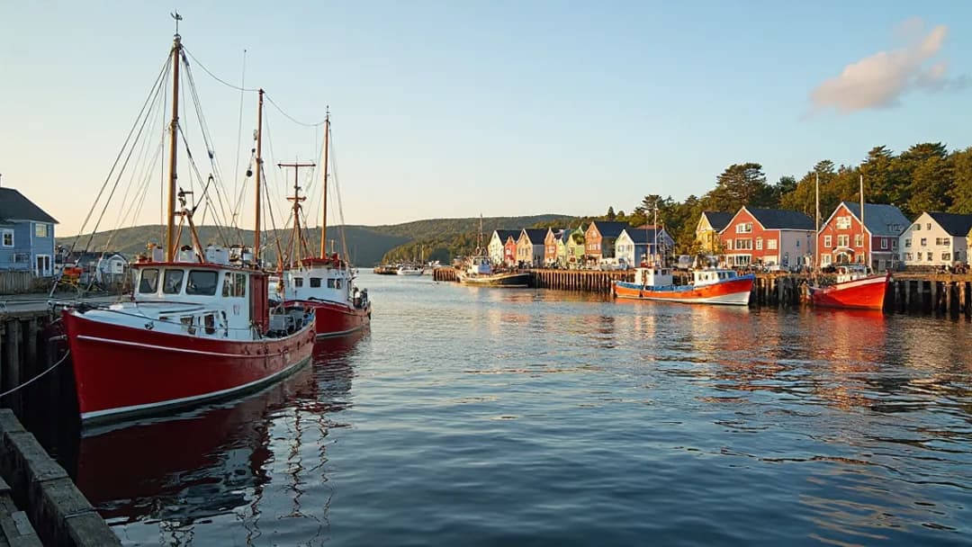 A person reviewing a loan approval notification on their phone while sitting at a waterfront cafe overlooking the Saint John harbour with fishing boats and the Reversing Falls Bridge in the background