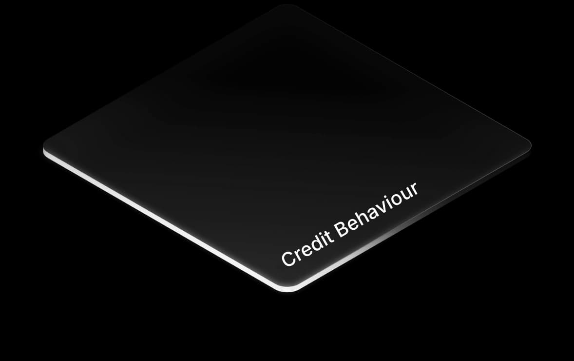 Comportement de crédit active