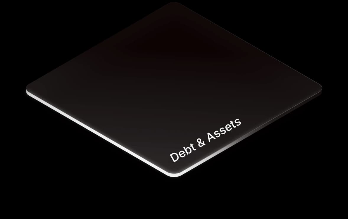 Debt & Assets active